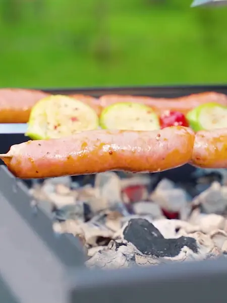 Мангал Palisad