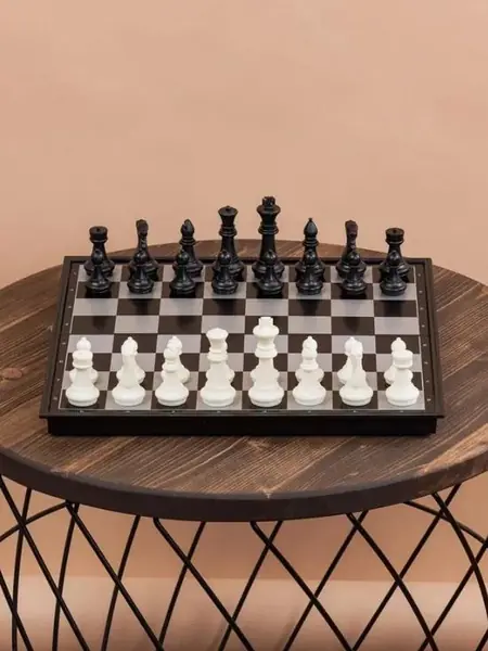 Магнитные шахматы