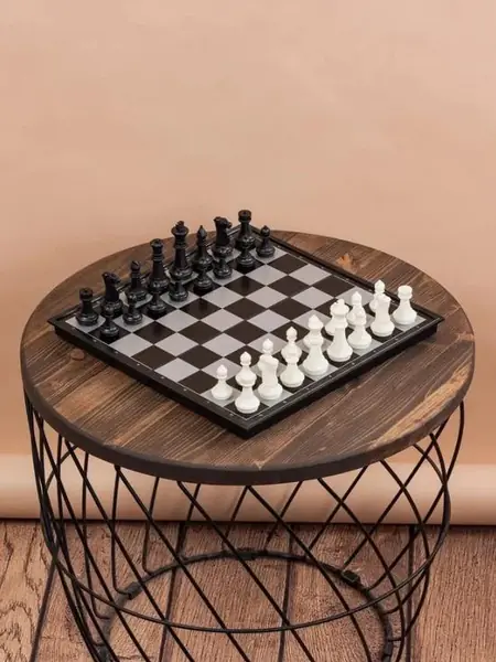 Магнитные шахматы