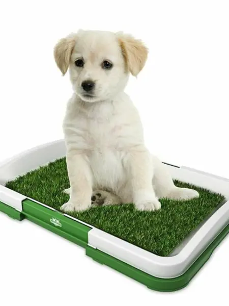 Puppy Potty Pad: туалет для собак