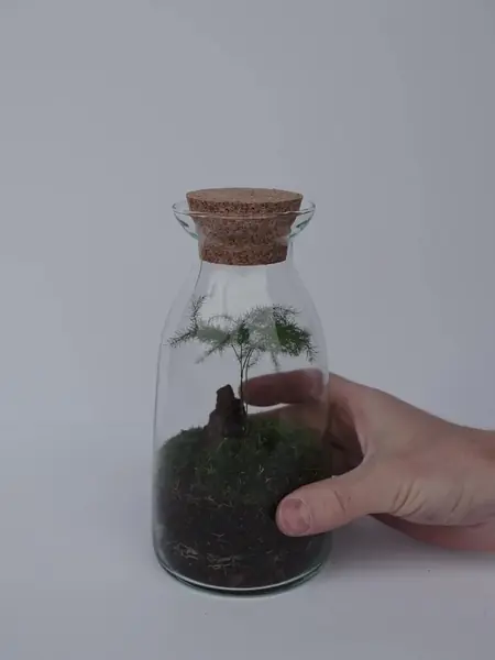 Флорариум HEIS