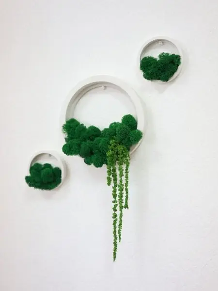 Настенные кашпо Stabflora