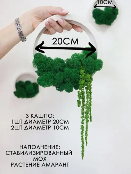 Настенные кашпо Stabflora