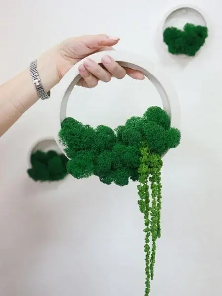 Настенные кашпо Stabflora