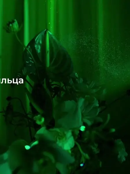 Очиститель воздуха Xiaomi