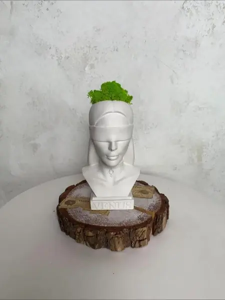 Венера кашпо