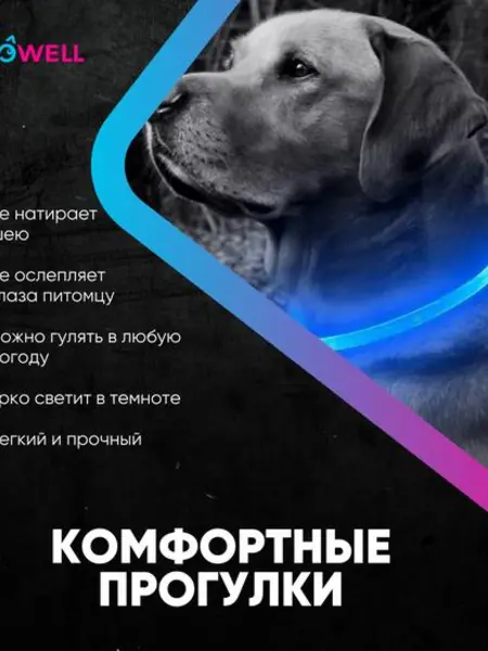 Ошейник светящийся для собак LED