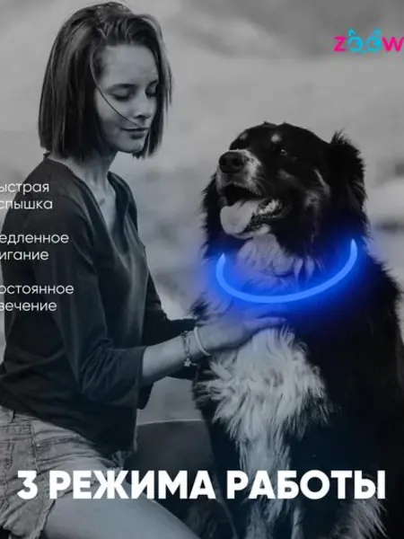 Ошейник светящийся для собак LED