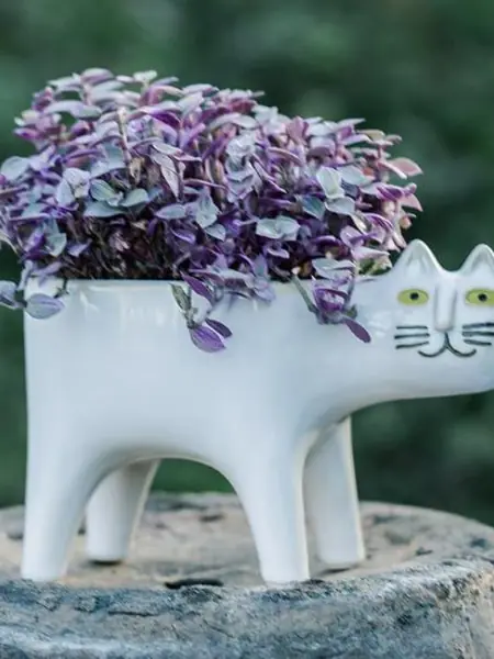 Горшок для цветов, кактусов и суккулентов «Кот Белый»