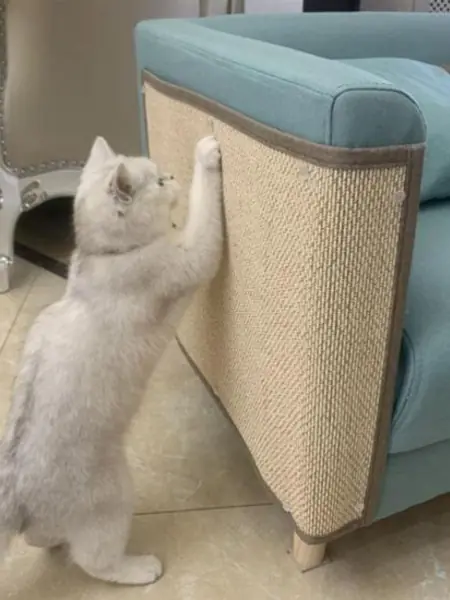 Коврик-когтеточка Bentfores