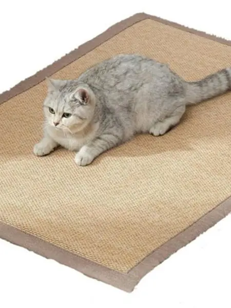 Коврик-когтеточка Bentfores