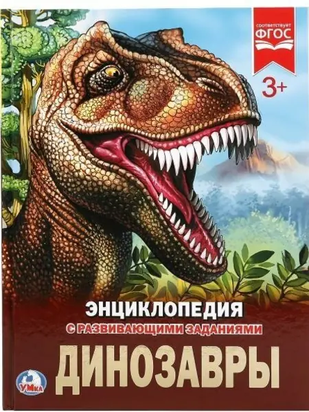 Основное изображение