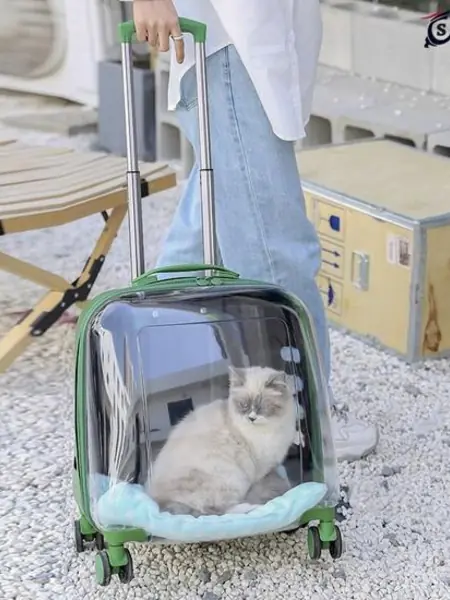 Рюкзак для питомца