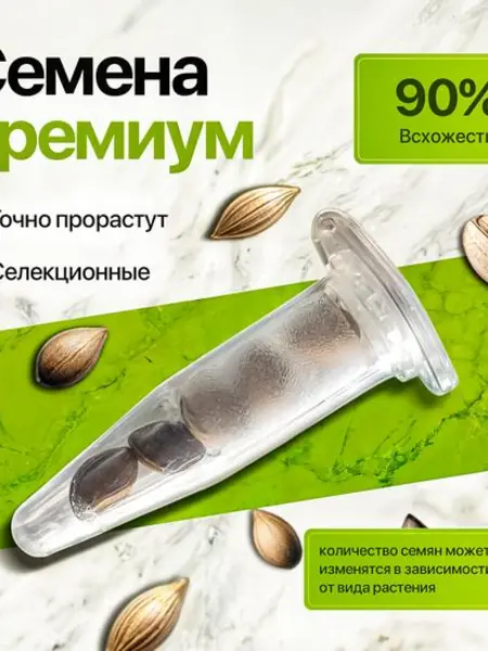 Набор для выращивания бонсай сакура