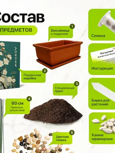 Набор для выращивания бонсай сакура