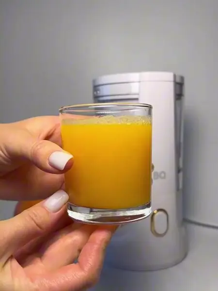 Соковыжималка для цитрусовых BQ