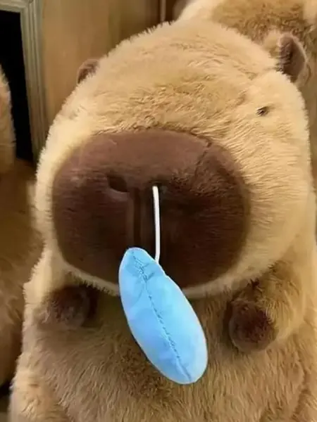 Капибара с Соплёй, мягкая игрушка