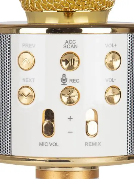 Караоке-микрофон WSTER WS-858 с колонкой и Bluetooth.