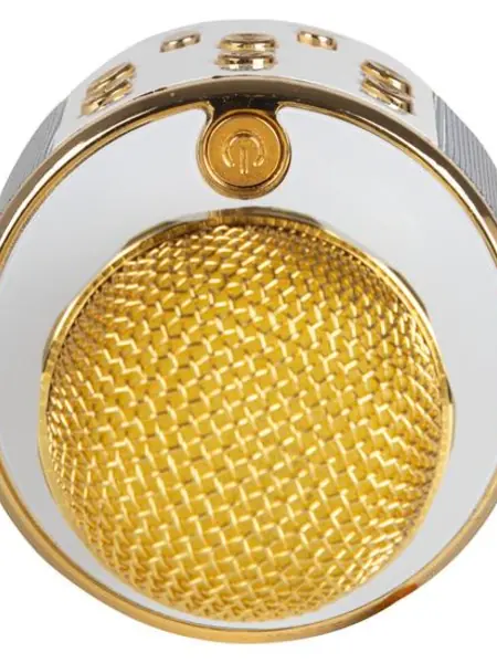 Караоке-микрофон WSTER WS-858 с колонкой и Bluetooth.