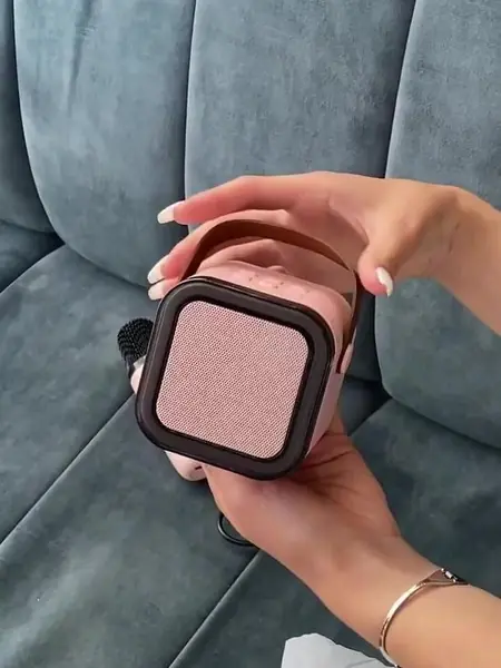 Караоке-система портативная.