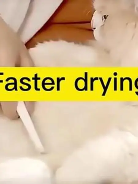 Сушилка для шерсти животных