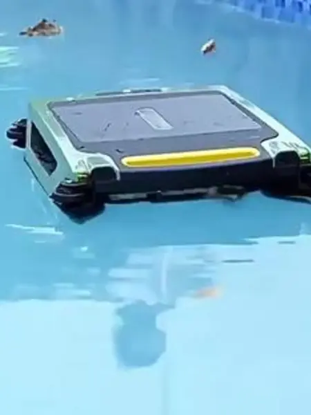 Поломойщик.