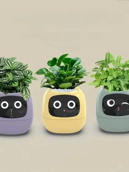 Умный цветочный горшок Zoeydam Ivy