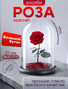 Роза Deluxe