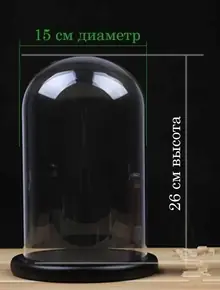 Стеклянная колба
