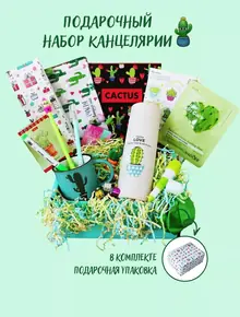 Подарочный набор Кактусы