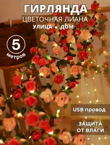 Гирлянда 5м
