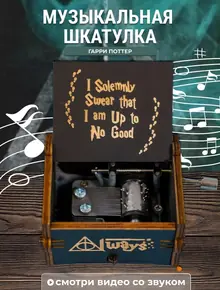 Музыкальная шкатулка Гарри Поттер
