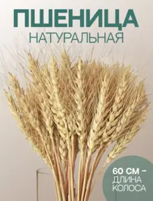 Букет пшеницы