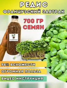 Редис зеленый