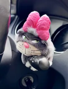 Игрушка в машину