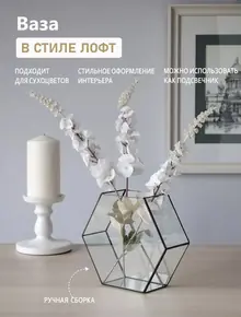 Ваза флорариум