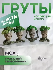 ГЕРОЙ ГРУТ
