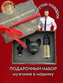 Подарок мужчине в машину