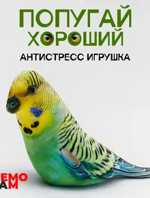 Попугай Хороший