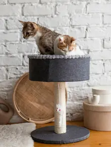 Когтеточка-лежанка MyPlace