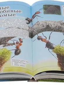Кошевар Д. В. Большая детская энциклопедия