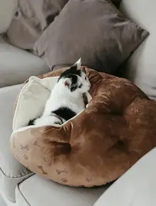 Лежанка для кошек, собак, сфинксов «Не Один Дома» Релакс пуфик.