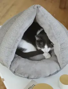 Лежанка для кошек, собак, сфинксов