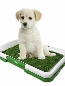 Puppy Potty Pad: туалет для собак