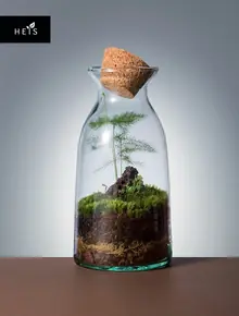 Флорариум HEIS