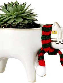 Горшок для цветов, кактусов и суккулентов «Кот Белый»