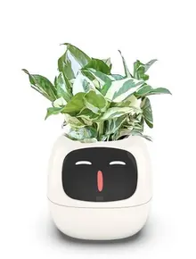 Умный цветочный горшок Zoeydam Ivy